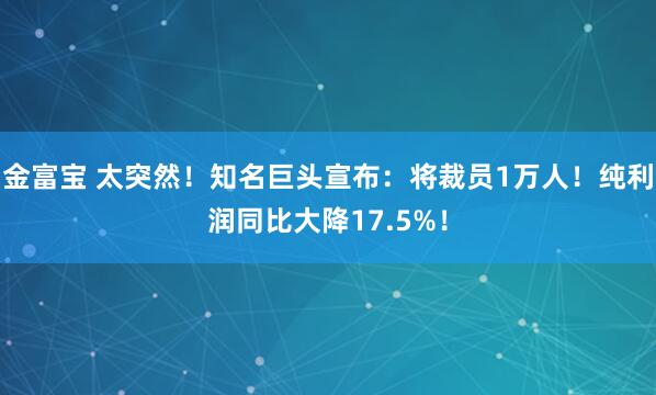 金富宝 太突然！知名巨头宣布：将裁员1万人！纯利润同比大降17.5%！