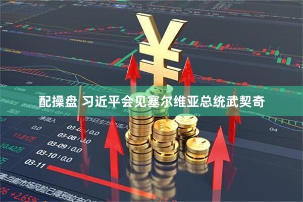 配操盘 习近平会见塞尔维亚总统武契奇
