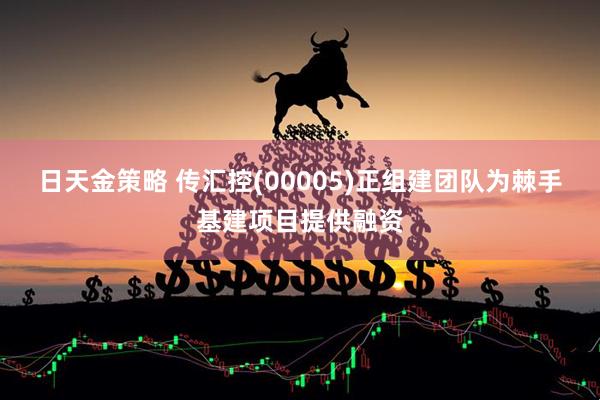 日天金策略 传汇控(00005)正组建团队为棘手基建项目提供融资