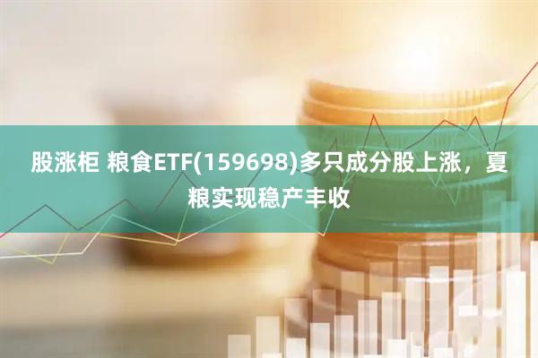 股涨柜 粮食ETF(159698)多只成分股上涨，夏粮实现稳产丰收