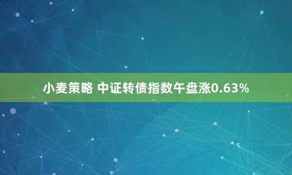 小麦策略 中证转债指数午盘涨0.63%