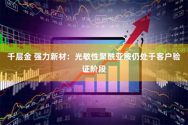 千层金 强力新材：光敏性聚酰亚胺仍处于客户验证阶段
