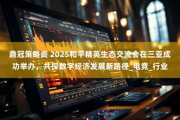 鼎冠策略资 2025和平精英生态交流会在三亚成功举办，共探数字经济发展新路径_电竞_行业