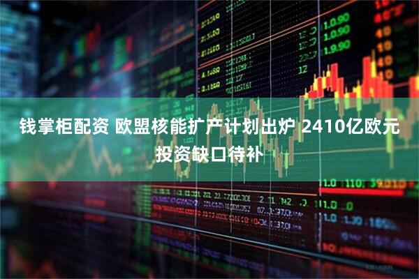 钱掌柜配资 欧盟核能扩产计划出炉 2410亿欧元投资缺口待补