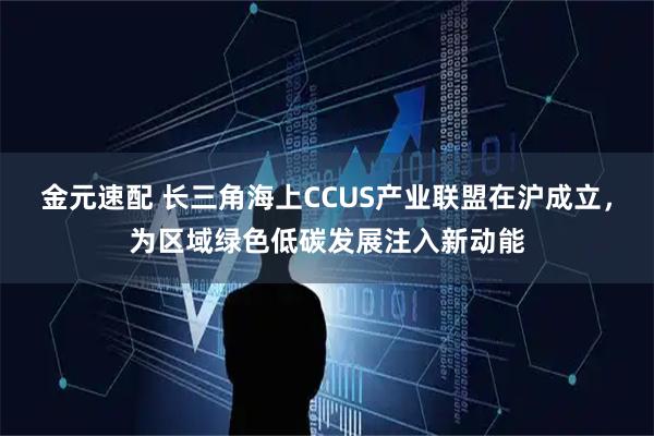金元速配 长三角海上CCUS产业联盟在沪成立，为区域绿色低碳发展注入新动能