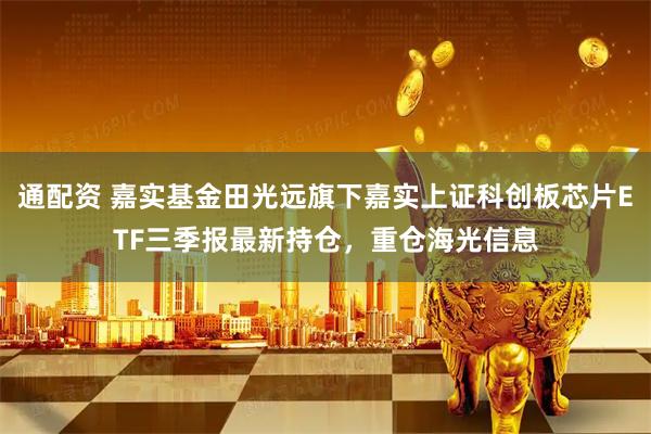 通配资 嘉实基金田光远旗下嘉实上证科创板芯片ETF三季报最新持仓，重仓海光信息