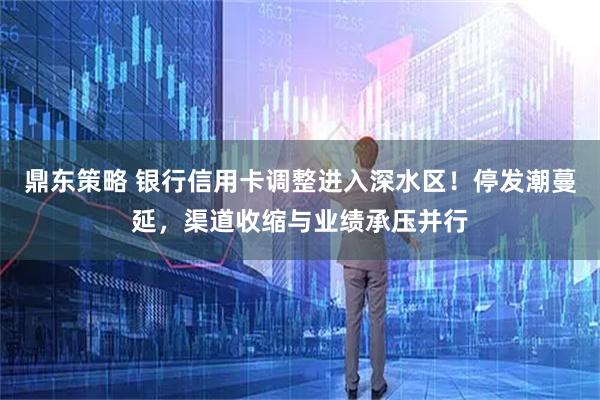 鼎东策略 银行信用卡调整进入深水区！停发潮蔓延，渠道收缩与业绩承压并行
